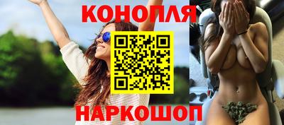 скорость Гатчина