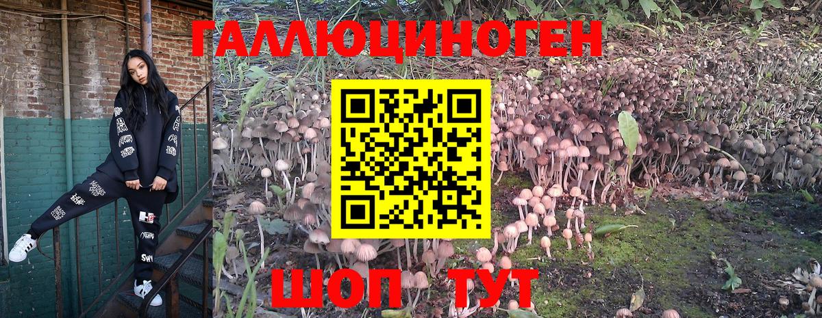 Галлюциногенные грибы Cubensis Чебаркуль