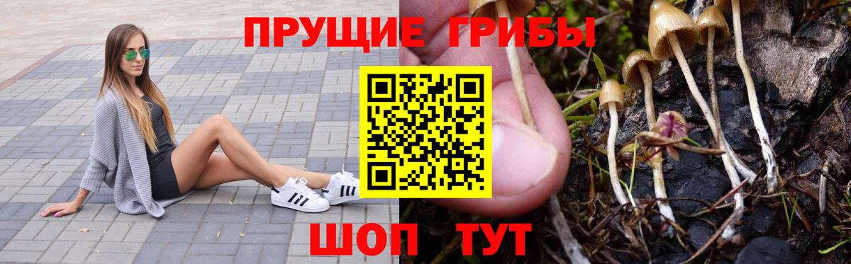Чебаркуль  Псилоцибиновые грибы прущие грибы  Вход с VPN 